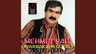 Diyarbakırın Güzeli De Were [upl. by Aehtla]