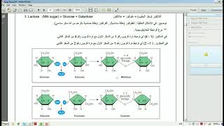 Biology Ch5  Biological Macromolecules and Lipids  Part 1 [upl. by Boyer515]