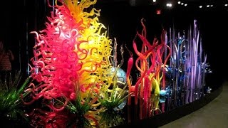 The Chihuly Collection St Petersburg [upl. by Ronoel]