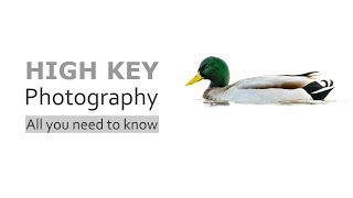 What is High Key Photography  Your First High Key Image [upl. by Sadye]