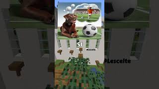 Un cagnolino sognatore 🐶⚽perte ai minecraft cane [upl. by Howund]