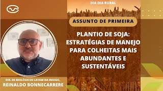 Plantio de soja Estratégias de manejo para colheitas mais abundantes e sustentáveis [upl. by Nomzaj600]