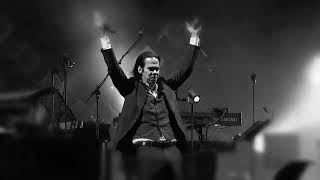 Nick Cave amp The Bad Seeds  The Wild God Tour  UK amp Europe 2024 [upl. by Kristin]