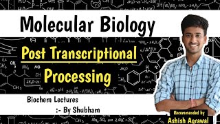 Post Transcriptional Processing  Molecular Biology  Biochemistry lectures [upl. by Amarillas895]