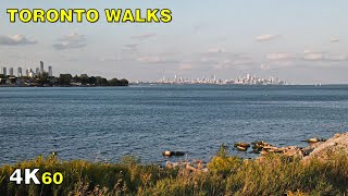 Toronto Whimbrel Point Walk at Sam Smith Park on Aug 27 2020 4K [upl. by Nanreit71]