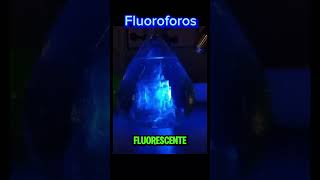 Fluoroforos Químico laboratorio demostración Ciencia [upl. by Longmire]