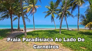 Tamandaré Pernambuco Praia Das Campas Como Chegar [upl. by Dierdre]