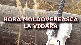 HORA MOLDOVENEASCA LA VIOARA [upl. by Anot]