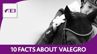 How much do you know about Valegro [upl. by Varion]