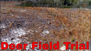 Town Creek Hunting Club Deer Field Trials [upl. by Lessig334]