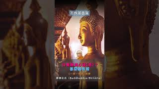 【行善難滅心頭苦？】佛使比丘（BuddhadAsa Bhikkhu）《一問一智慧》摘要 佛學知識 中文 [upl. by Haceber]