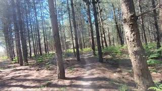 Thetford Forest Limeburner Red Route Full Route [upl. by Alethia]