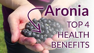 The Top 4 Amazing Aronia Berries Health Benefits [upl. by Anaidiriv]