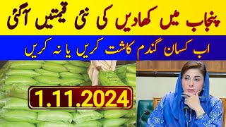 Fertilizer Price in Pakistan 2024 [upl. by Aicyle]