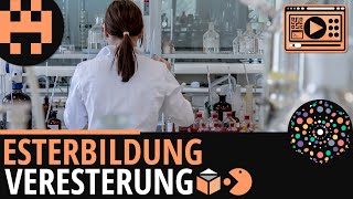 Esterbildung Veresterung│Chemie Lernvideo│Learning Level Up [upl. by Artinak]