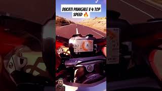 Ducati panigale v 4 top speed🔥 ducati shorts subscribe automobile trending viralvideo [upl. by Noral]