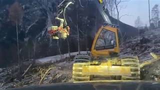 BEST of Logging 2019  ENGINE SOUND  Harvester  Forstmaschinen  Motorsägen  Holzfällen [upl. by Gerrard]