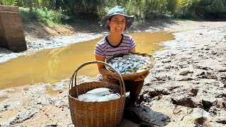 Tempo de seca fizemos a limpeza ecológica do açude e garantimos peixes para muitos dias [upl. by Bailar]