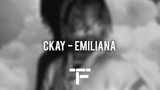 TRADUCTION FRANÇAISE CKay  Emiliana [upl. by Allsopp]