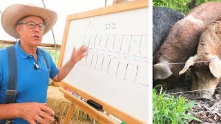 Joel Salatin Teaches Pasture Pigs for Profit [upl. by Kenric825]