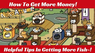 Tips And Tricks On How To Get Rich In Neko Atsume The Anime Twins [upl. by Eitirahc795]