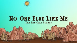 The Red Clay Strays  No One Else Like Me Lyrics [upl. by Eizdnil]