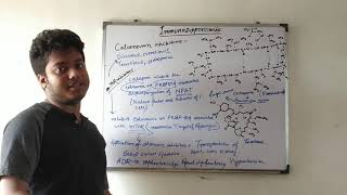 CLASSIFICATION OF IMMUNOSUPPRESSANT DRUGS [upl. by Sylvia775]