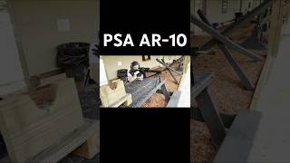 PSA AR10 DMR Gen 3 with Leopold VX Freedom Firedot ar10 psa palmettostatearmory dmr [upl. by Eikram]