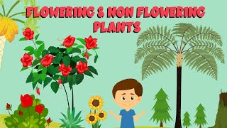 Flowering and non flowering plants  Plant life cycle  Video for Kids [upl. by Rutherfurd633]