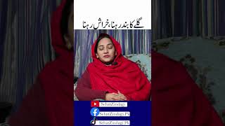 How To Treat Sore Throat And Itching Naturally In Urdu [upl. by Sacci]