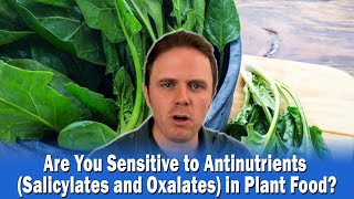 Are You Sensitive to Antinutrients Salicylates and Oxalates in Plant Food  Podcast 336 [upl. by Anrahs]