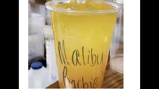 Malibu Barbie Loaded tea [upl. by Marna473]