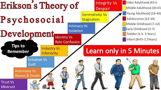 Psychosocial theory of development in UrduHindiErik Erikson theory Developmental stagesLife span [upl. by Yvehc]