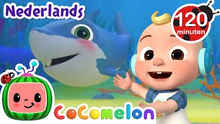 Babyhaai  CoComelon Nederlands  Kinderliedjes [upl. by Cohl282]