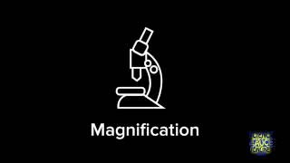 How to calculate magnification [upl. by Tema]