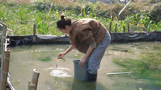 Creative girl catch fresh crabs and make delicious crabs recipe  Organic crabs recipe 🦀 [upl. by Service807]