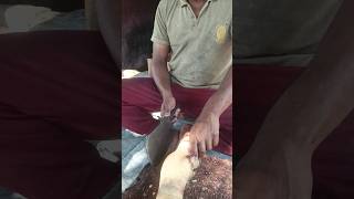 Pye cutting expert butchers beef meat [upl. by Prestige]