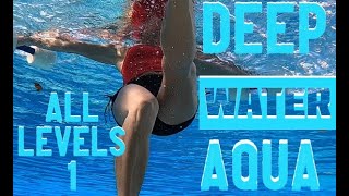 Deep Water Aqua Aerobic FULL WORKOUT FOR ALL LEVELS [upl. by Whitby]