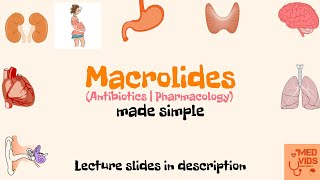 Macrolides  Antibiotics  Pharmacology  Med Vids made simple [upl. by Lu]