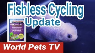 How to Fishless Water Cycle Switching over to DR Tim’s Nitrifying Bacteria [upl. by Temp]