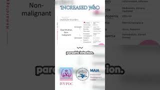 Leukocytosis Increased WBC [upl. by Berns740]