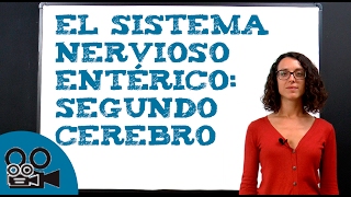 El sistema nervioso entérico segundo cerebro [upl. by Allesor]