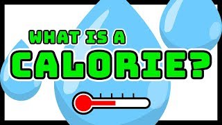 What is a Calorie Explained in terms of Energy Food amp Calorie Burn [upl. by Atiniuq162]