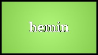 Hemin Meaning [upl. by Noxid]