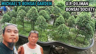 MICHAELS BONSAI GARDENUP DILIMAN BONSAI SOCIETY [upl. by Sparhawk]