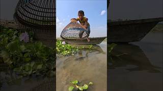 Unbelievable Boy Polo Fishing❤️shorts polo fishing fishingmethods fishingtipsandtechniques [upl. by Aloel720]