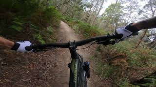 2019 Norco Range A2 Enduro Quick First Ride [upl. by Ahseia]