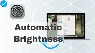 How To Automatically Adjust Brightness In MacOS [upl. by Ahouh340]