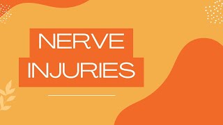 Nerve injuries  Neuroanatomy [upl. by Limbert]