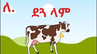 ደጓ ላም ተረት ተረት  in Amharic  Amharic Fairy Tale [upl. by Lleuqar]